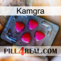 Kamgra 13